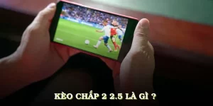 Kèo chấp 2 2.5 là gì